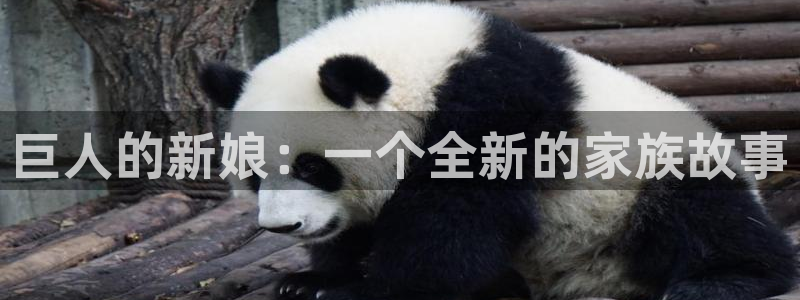 汗汗漫画yy：巨人的新娘：一个全新的家族故事