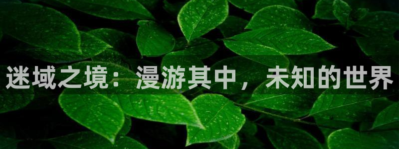 汗汗漫画免费登录入口界面：迷域之境：漫游其中，未知的世界