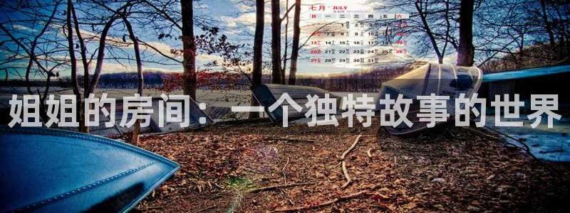 汗汗漫画免费阅在线看：姐姐的房间：一个独特故事的世界