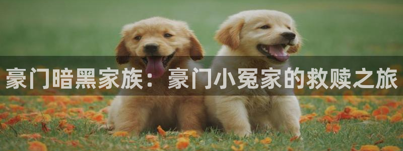 汗汗漫画下载：豪门暗黑家族：豪门小冤家的救赎之旅